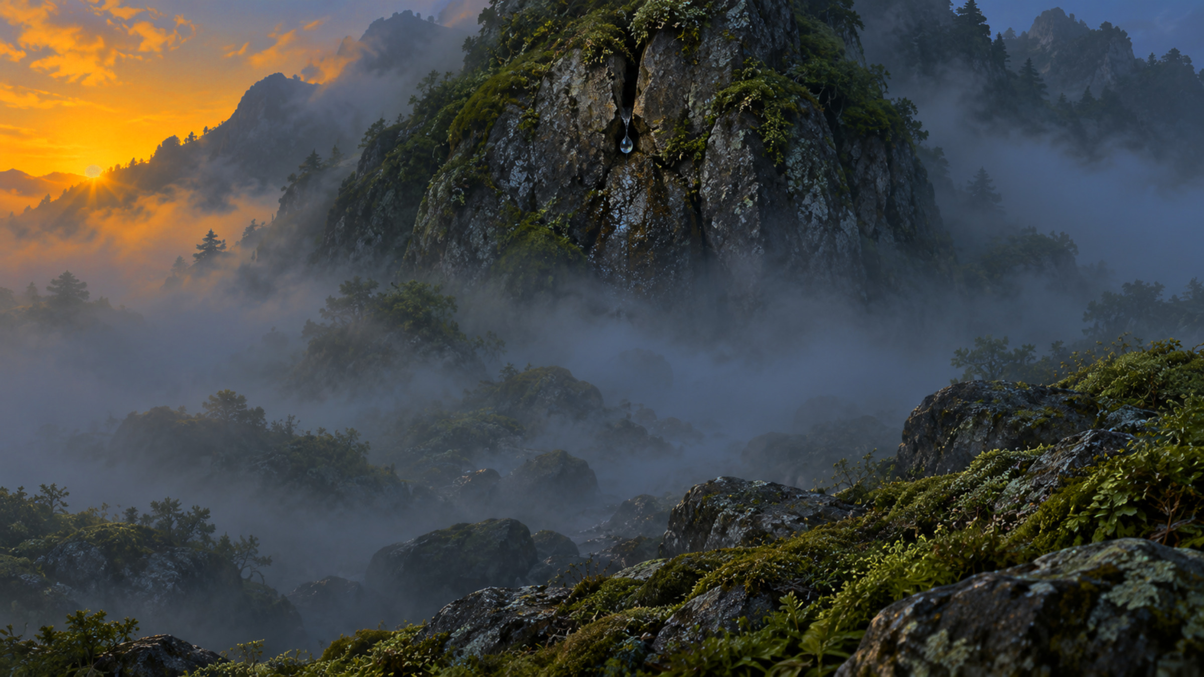 清晨濃霧中的山腳，一道泉水從岩縫冒出，往下流成還沒決定方向的小溪